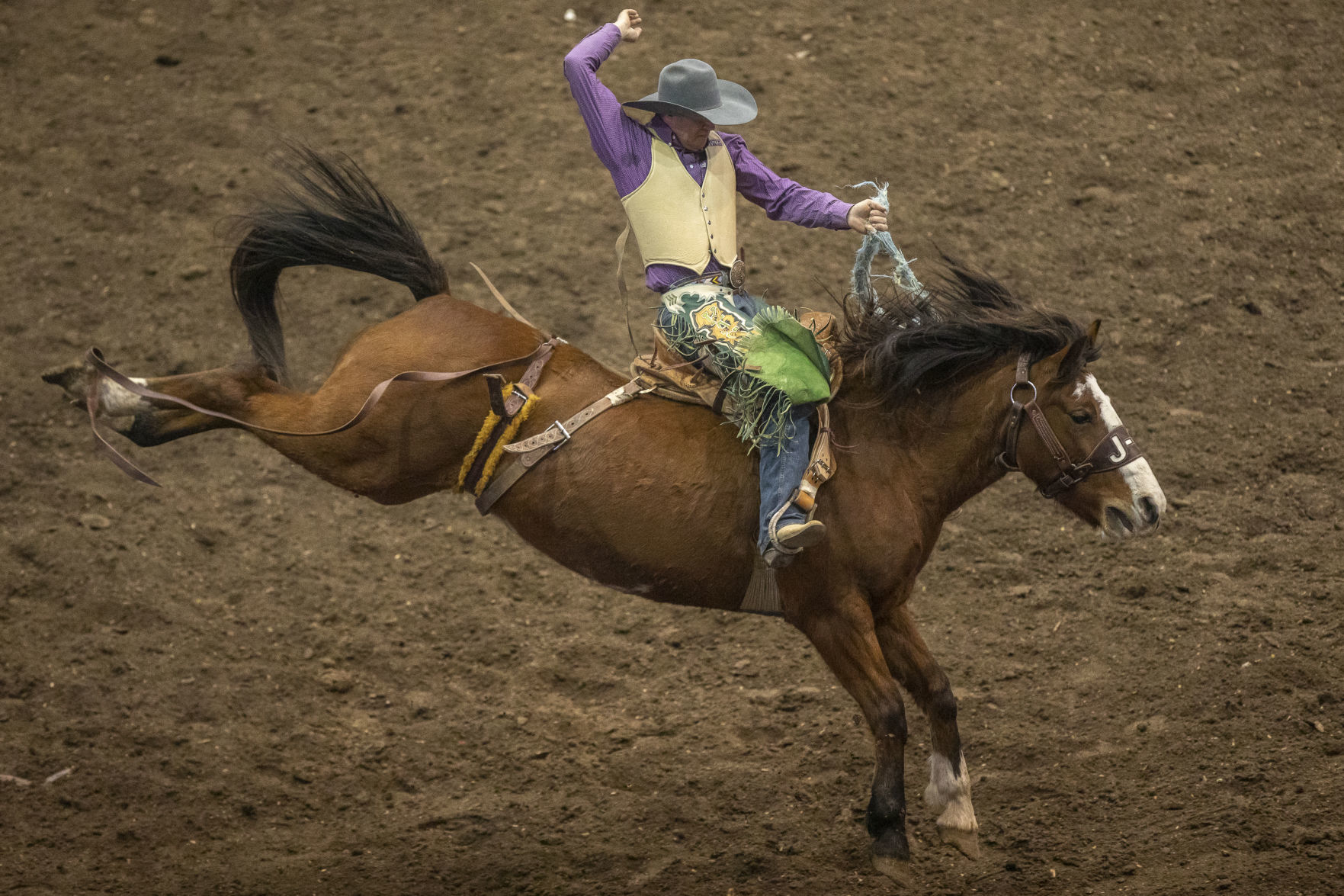 Rodeo Rapid City